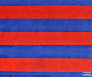 yapboz FC Barcelona bayrağı